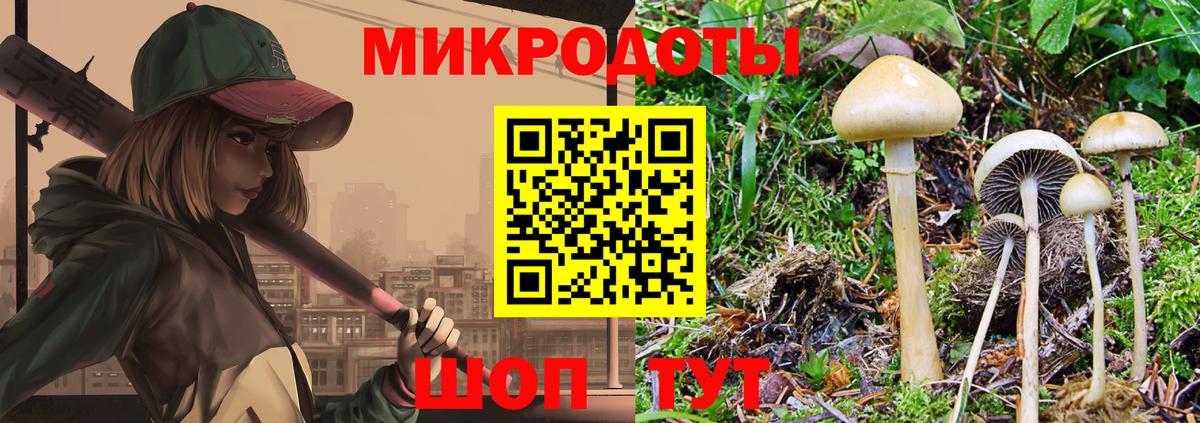 Галлюциногенные грибы MAGIC MUSHROOMS  Галлюциногенные грибы прущие грибы  Великие Луки  хочу   Вход с VPN 