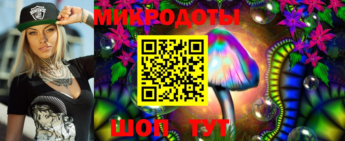 Псилоцибиновые грибы Psilocybine cubensis Великие Луки